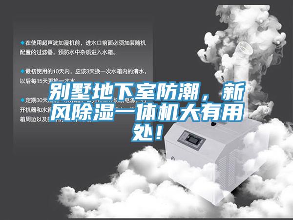 别墅地下室防潮，新风除湿一体机大有用处！