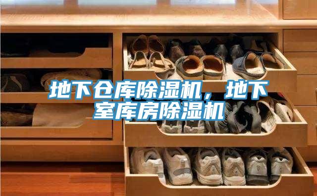 地下仓库辣椒视频APP下载并安装，地下室库房辣椒视频APP下载并安装