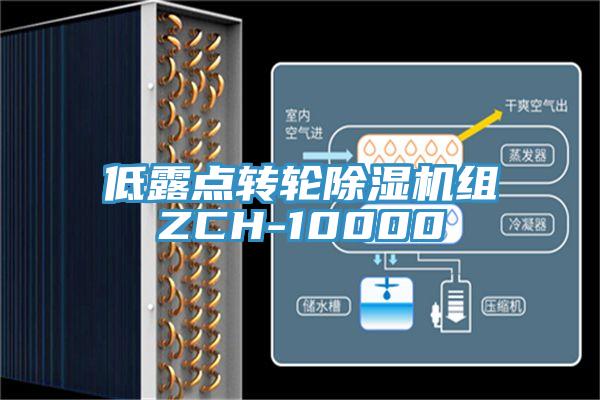 低露点转轮辣椒视频APP下载并安装组ZCH-10000