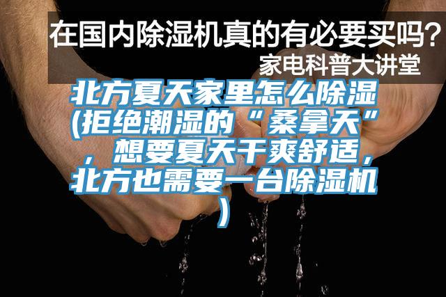 北方夏天家里怎么除湿(拒绝潮湿的“桑拿天”，想要夏天干爽舒适，北方也需要一台辣椒视频APP下载并安装)