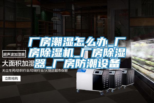 厂房潮湿怎么办_厂房辣椒视频APP下载并安装_厂房除湿器_厂房防潮设备