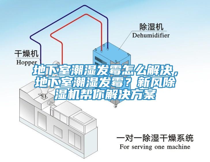 地下室潮湿发霉怎么解决，地下室潮湿发霉？新风辣椒视频APP下载并安装帮你解决方案
