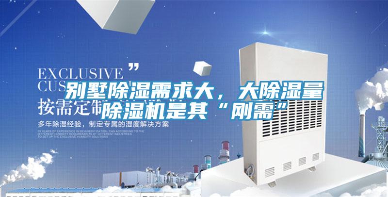 别墅除湿需求大，大除湿量辣椒视频APP下载并安装是其“刚需”