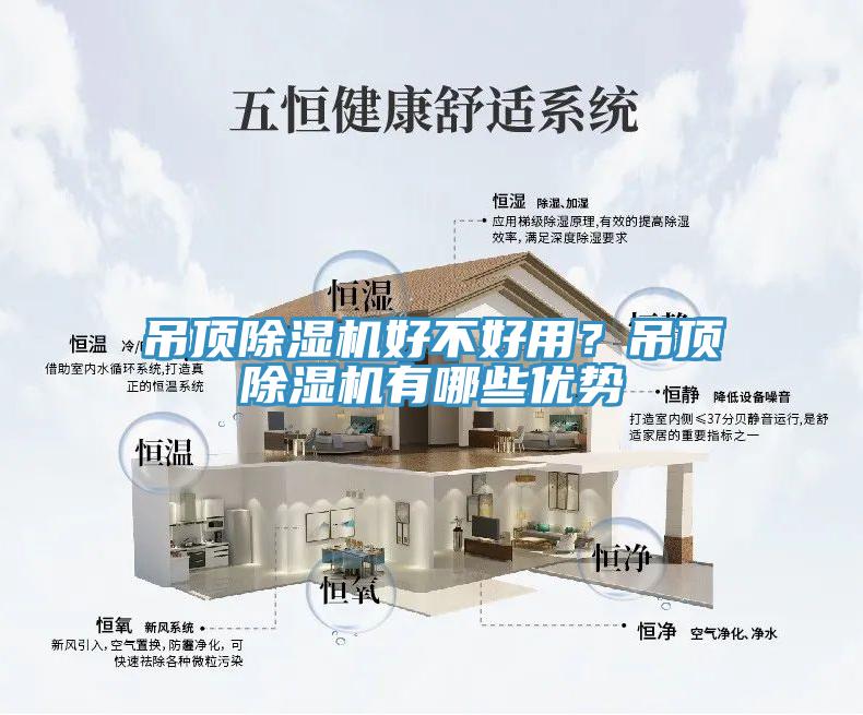 吊顶辣椒视频APP下载并安装好不好用？吊顶辣椒视频APP下载并安装有哪些优势