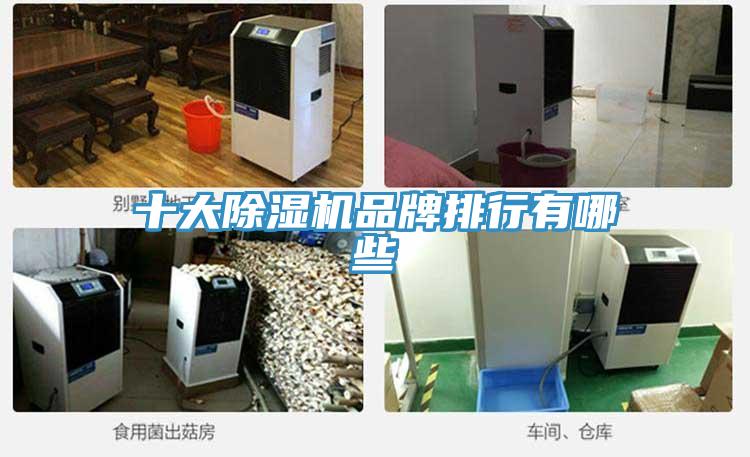 十大辣椒视频APP下载并安装品牌排行有哪些