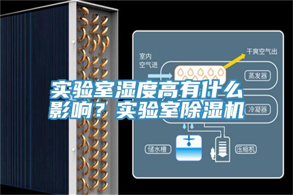 实验室湿度高有什么影响？实验室辣椒视频APP下载并安装