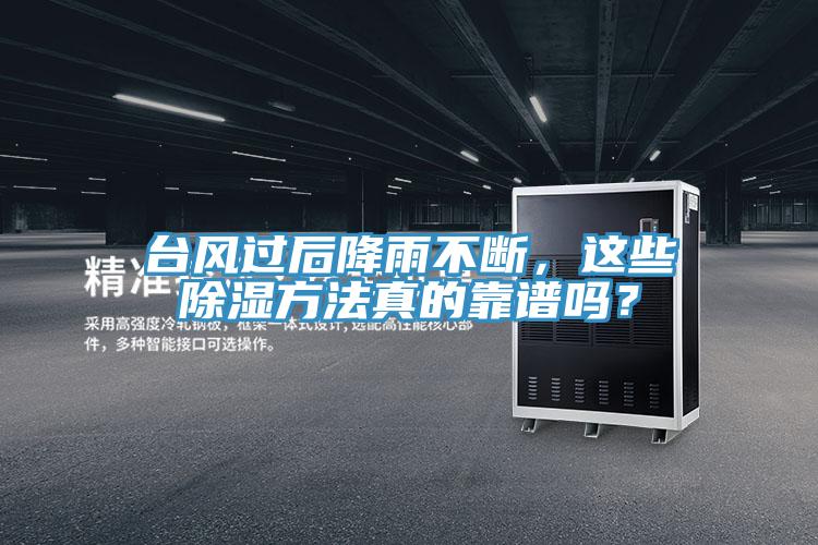 台风过后降雨不断，这些除湿方法真的靠谱吗？