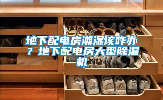 地下配电房潮湿该咋办？地下配电房大型辣椒视频APP下载并安装