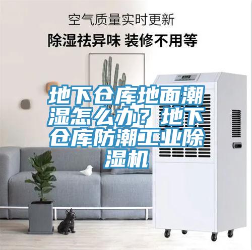 地下仓库地面潮湿怎么办？地下仓库防潮工业辣椒视频APP下载并安装