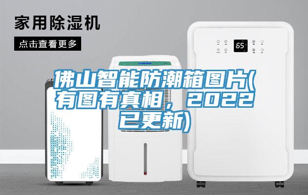佛山智能防潮箱图片(有图有真相，2022已更新)