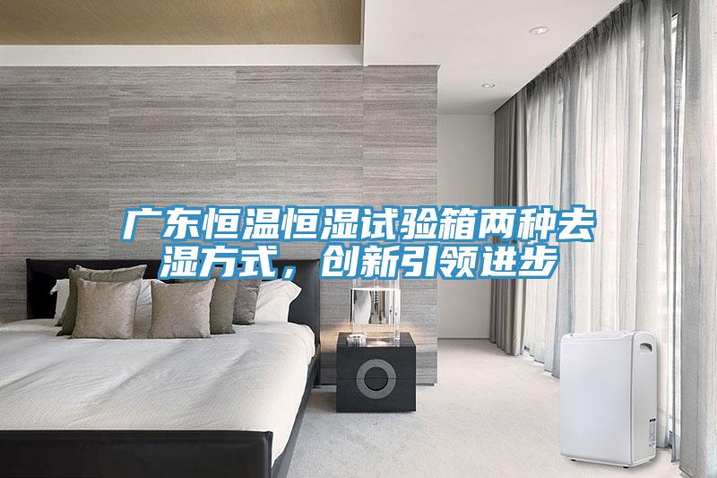 广东恒温恒湿试验箱两种去湿方式，创新引领进步