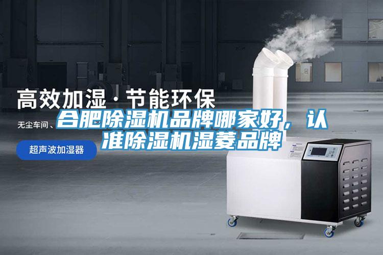 合肥辣椒视频APP下载并安装品牌哪家好，认准辣椒视频APP下载并安装湿菱品牌