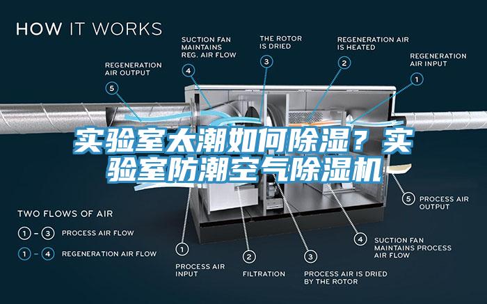实验室太潮如何除湿？实验室防潮空气辣椒视频APP下载并安装