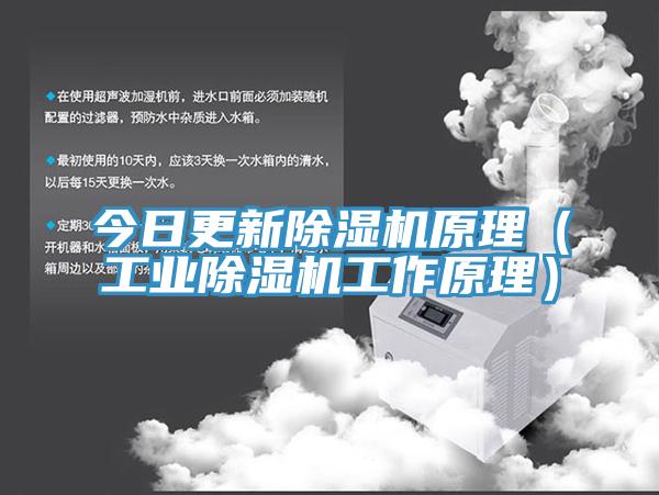 今日更新辣椒视频APP下载并安装原理（工业辣椒视频APP下载并安装工作原理）