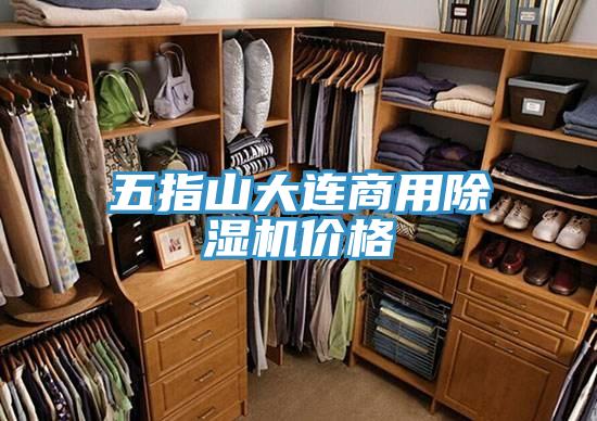 五指山大连商用辣椒视频APP下载并安装价格