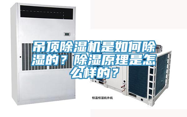 吊顶辣椒视频APP下载并安装是如何除湿的？除湿原理是怎么样的？