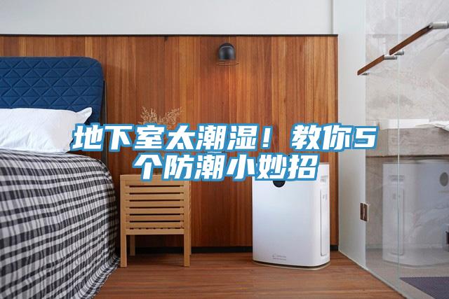 地下室太潮湿！教你5个防潮小妙招