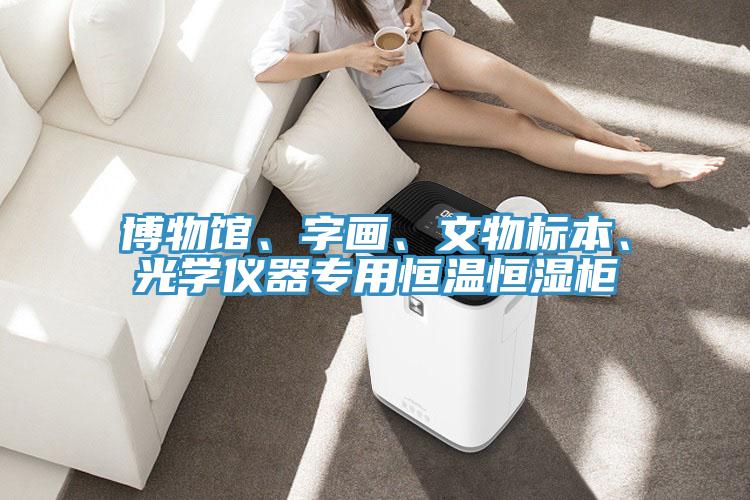 博物馆、字画、文物标本、光学仪器专用恒温恒湿柜