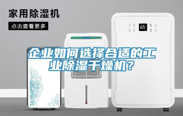 企业如何选择合适的工业除湿干燥机？