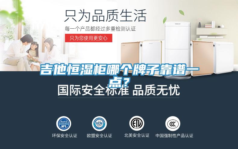 吉他恒湿柜哪个牌子靠谱一点？