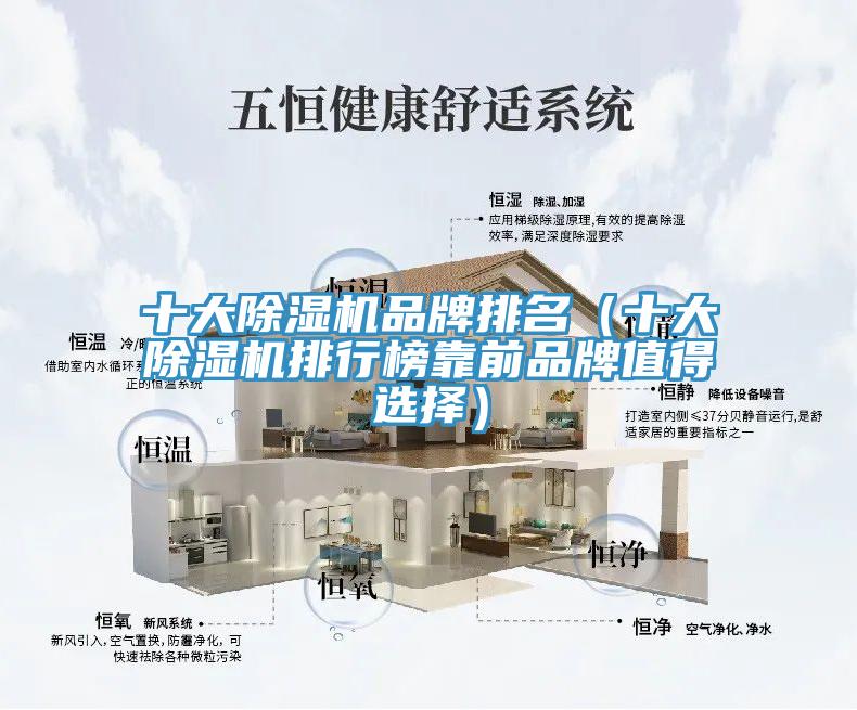 十大辣椒视频APP下载并安装品牌排名（十大辣椒视频APP下载并安装排行榜靠前品牌值得选择）