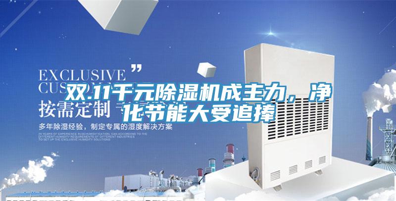 双.11千元辣椒视频APP下载并安装成主力，净化节能大受追捧