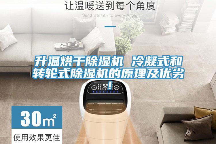 升温烘干辣椒视频APP下载并安装 冷凝式和转轮式辣椒视频APP下载并安装的原理及优劣！