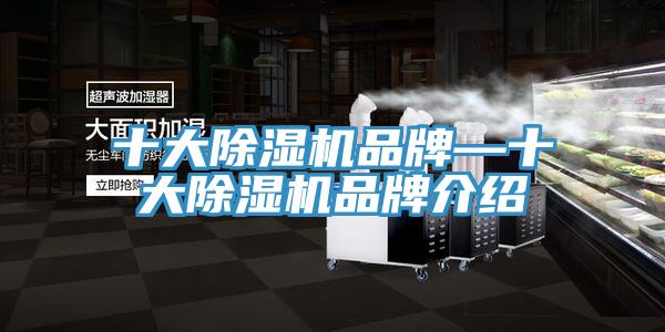 十大辣椒视频APP下载并安装品牌—十大辣椒视频APP下载并安装品牌介绍
