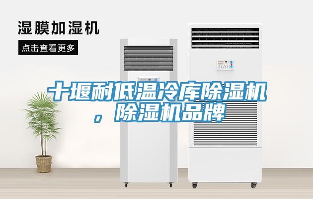 十堰耐低温冷库辣椒视频APP下载并安装，辣椒视频APP下载并安装品牌