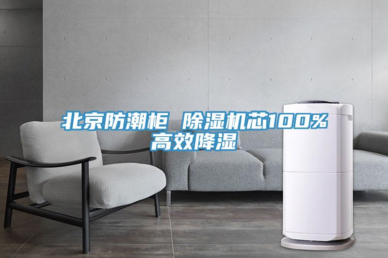 北京防潮柜 辣椒视频APP下载并安装芯100%高效降湿
