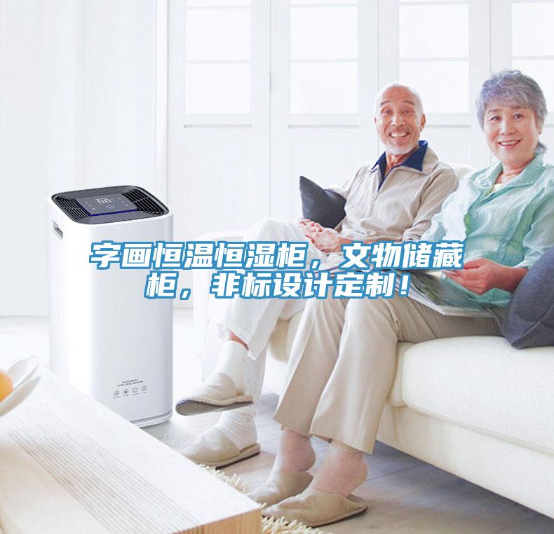字画恒温恒湿柜，文物储藏柜，非标设计定制！