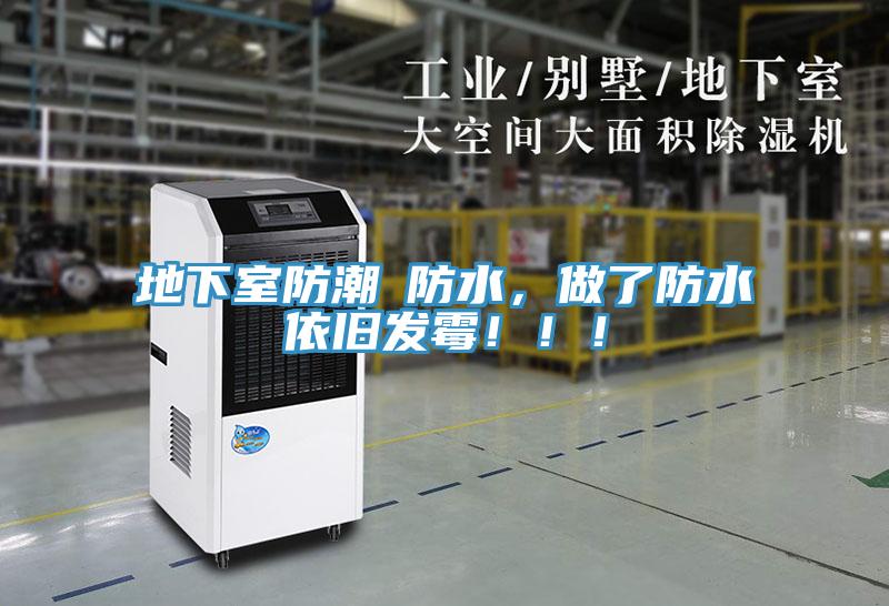 地下室防潮≠防水，做了防水依旧发霉！！！