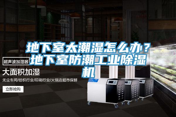 地下室太潮湿怎么办？地下室防潮工业辣椒视频APP下载并安装