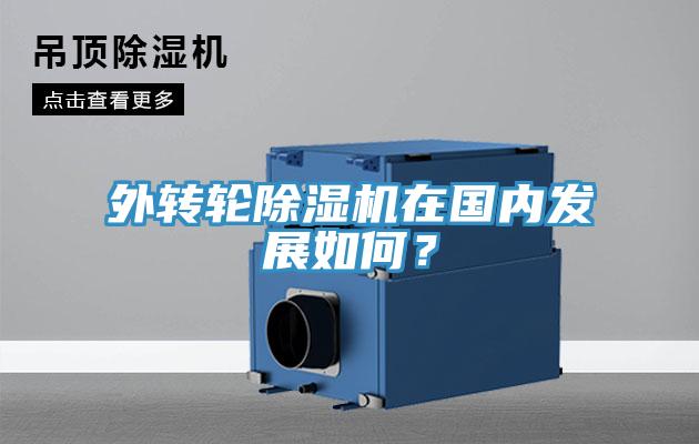 外转轮辣椒视频APP下载并安装在国内发展如何？