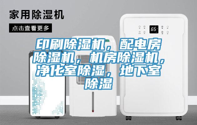 印刷辣椒视频APP下载并安装，配电房辣椒视频APP下载并安装，机房辣椒视频APP下载并安装，净化室除湿，地下室除湿