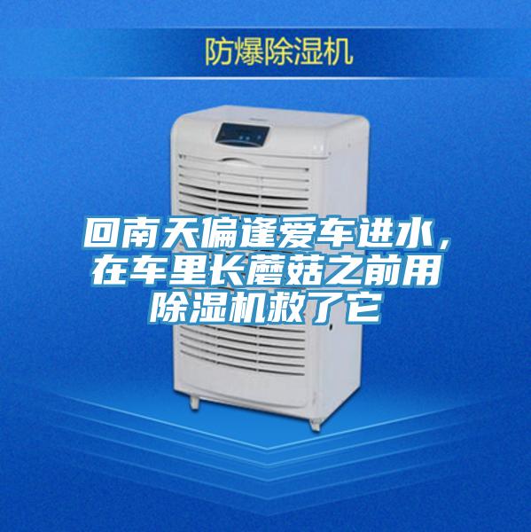 回南天偏逢爱车进水，在车里长蘑菇之前用辣椒视频APP下载并安装救了它