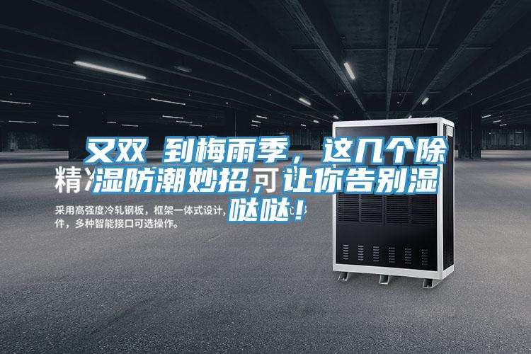 又双叒到梅雨季，这几个除湿防潮妙招，让你告别湿哒哒！