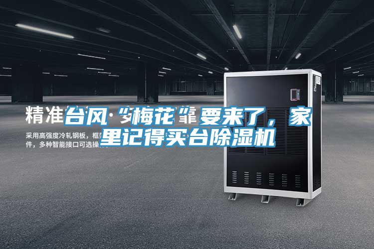 台风“梅花”要来了，家里记得买台辣椒视频APP下载并安装