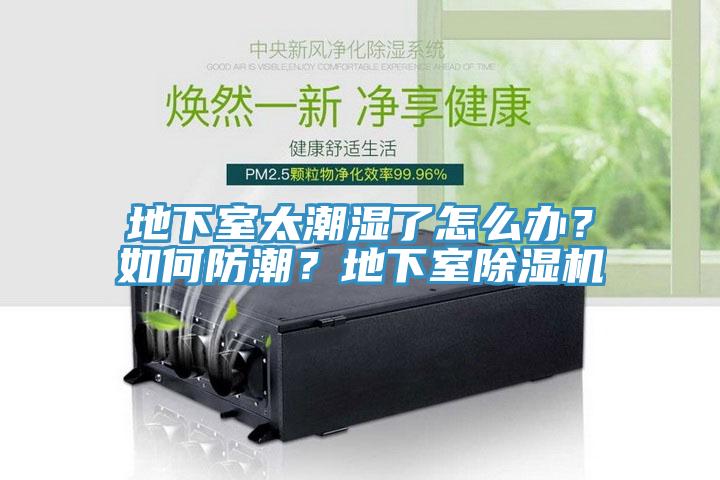 地下室太潮湿了怎么办？如何防潮？地下室辣椒视频APP下载并安装