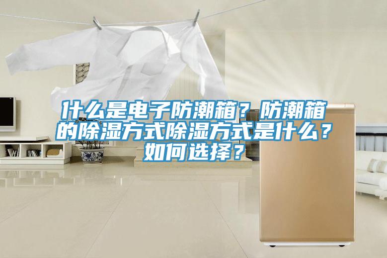 什么是电子防潮箱？防潮箱的除湿方式除湿方式是什么？如何选择？