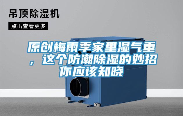 原创梅雨季家里湿气重，这个防潮除湿的妙招你应该知晓