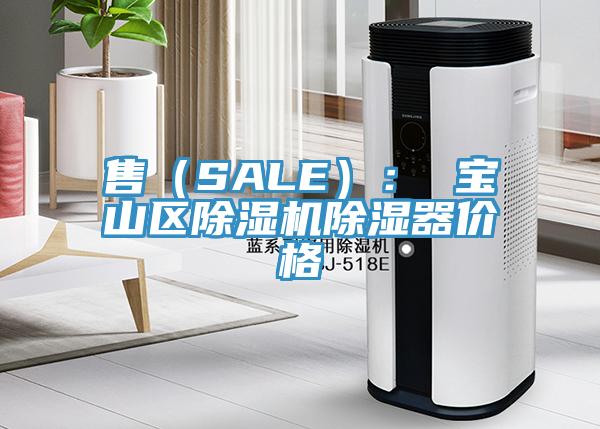 售（SALE）： 宝山区辣椒视频APP下载并安装除湿器价格