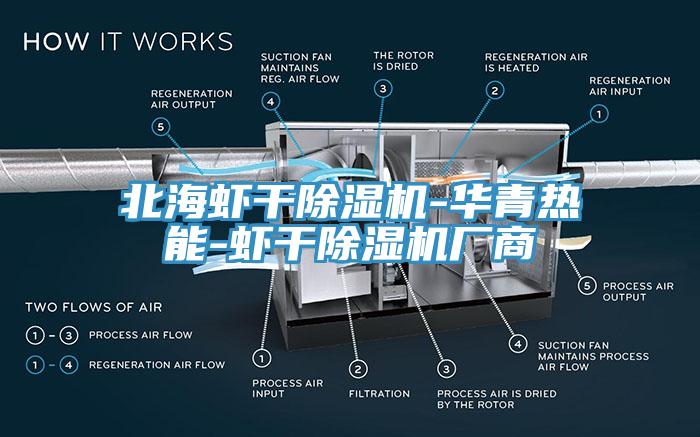 北海虾干辣椒视频APP下载并安装-华青热能-虾干辣椒视频APP下载并安装厂商
