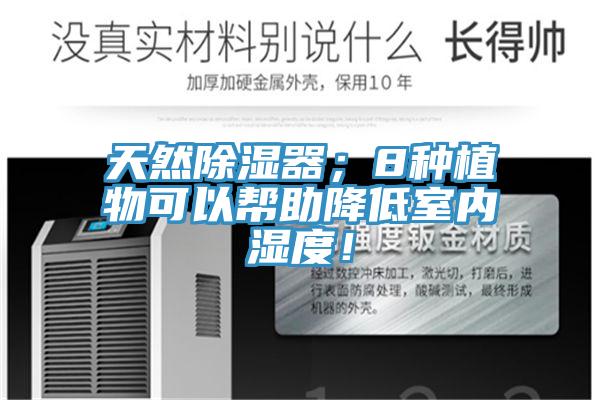 天然除湿器；8种植物可以帮助降低室内湿度！