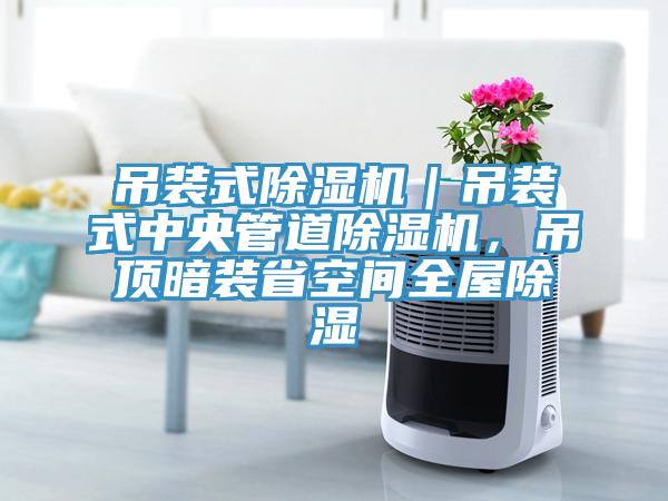 吊装式辣椒视频APP下载并安装｜吊装式中央管道辣椒视频APP下载并安装，吊顶暗装省空间全屋除湿