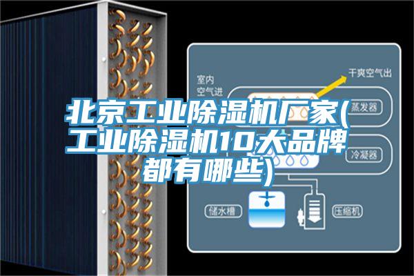 北京工业辣椒视频APP下载并安装厂家(工业辣椒视频APP下载并安装10大品牌都有哪些)