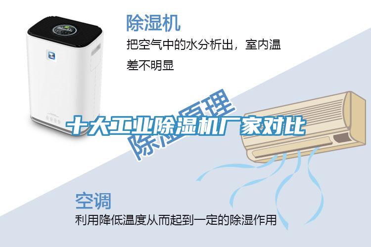 十大工业辣椒视频APP下载并安装厂家对比