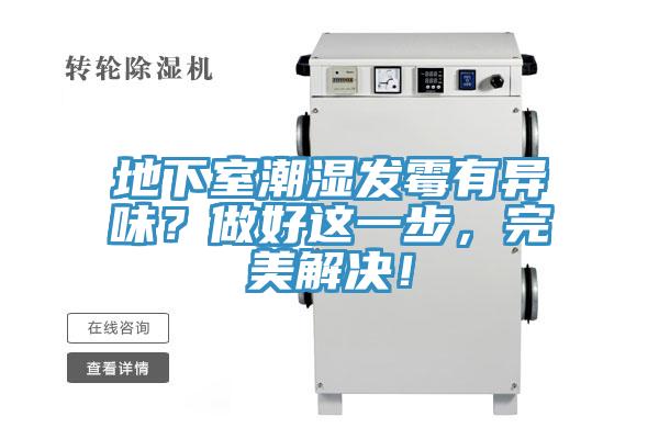 地下室潮湿发霉有异味？做好这一步，完美解决！