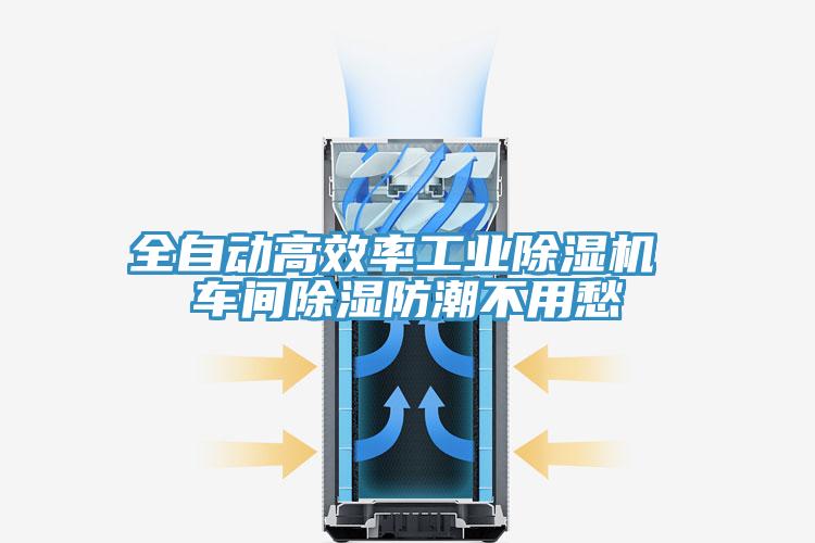 全自动高效率工业辣椒视频APP下载并安装 车间除湿防潮不用愁