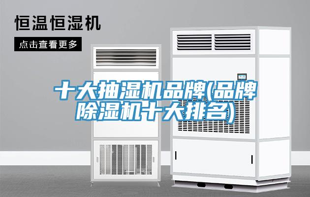 十大抽湿机品牌(品牌辣椒视频APP下载并安装十大排名)